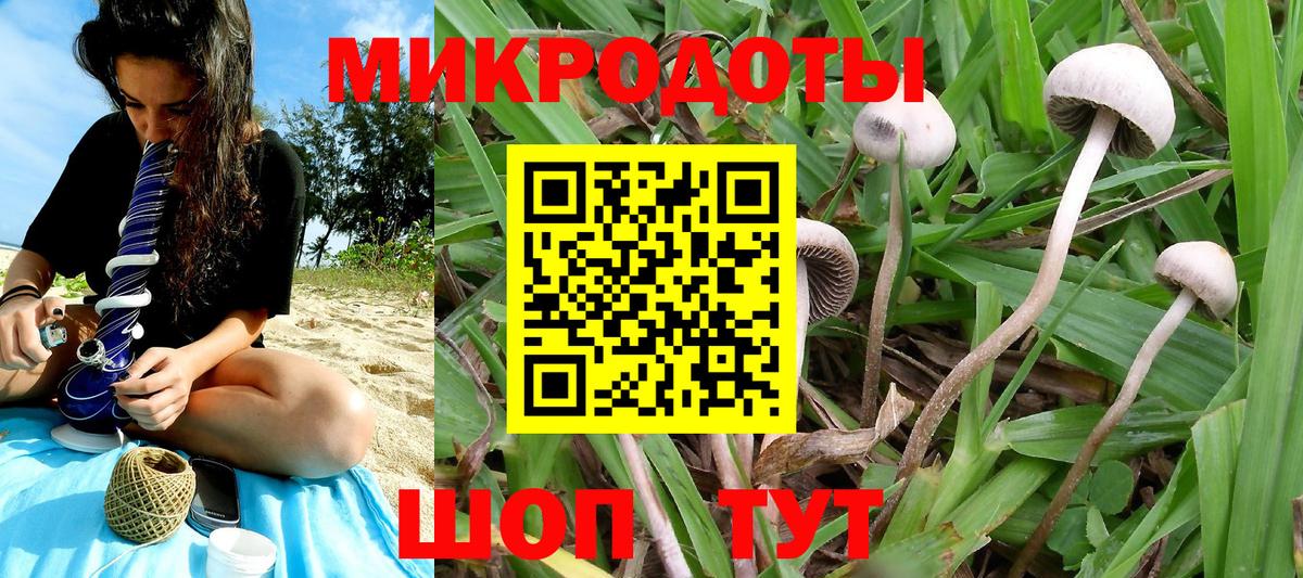 Галлюциногенные грибы Magic Shrooms  Галлюциногенные грибы мухоморы  Кропоткин  Вход с VPN 